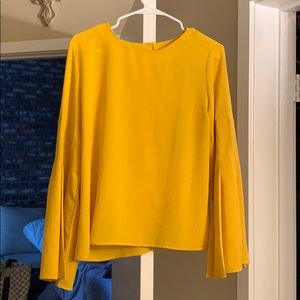 A long sleeve blouse